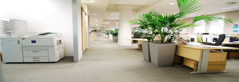 Office Cleaning